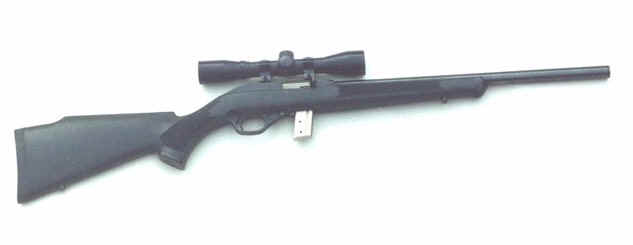 Rifles2.jpg (7744 bytes)