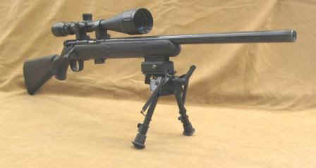 snipersystem.jpg (25496 bytes)